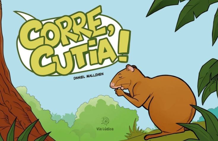 • Divulgação