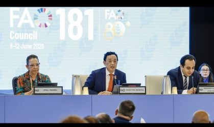 Sessão do Conselho da FAO. Ao meio, o diretor-geral, Qu Dongyu