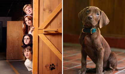 scooby-live-action