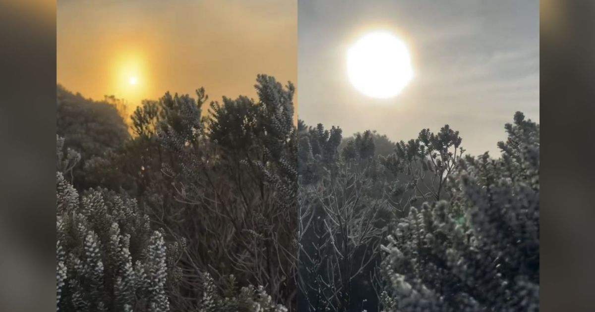 Frio intenso congela nevoeiro em SC em raro evento climático