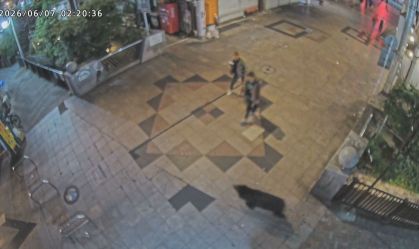 urso-em-cidade-do-japao