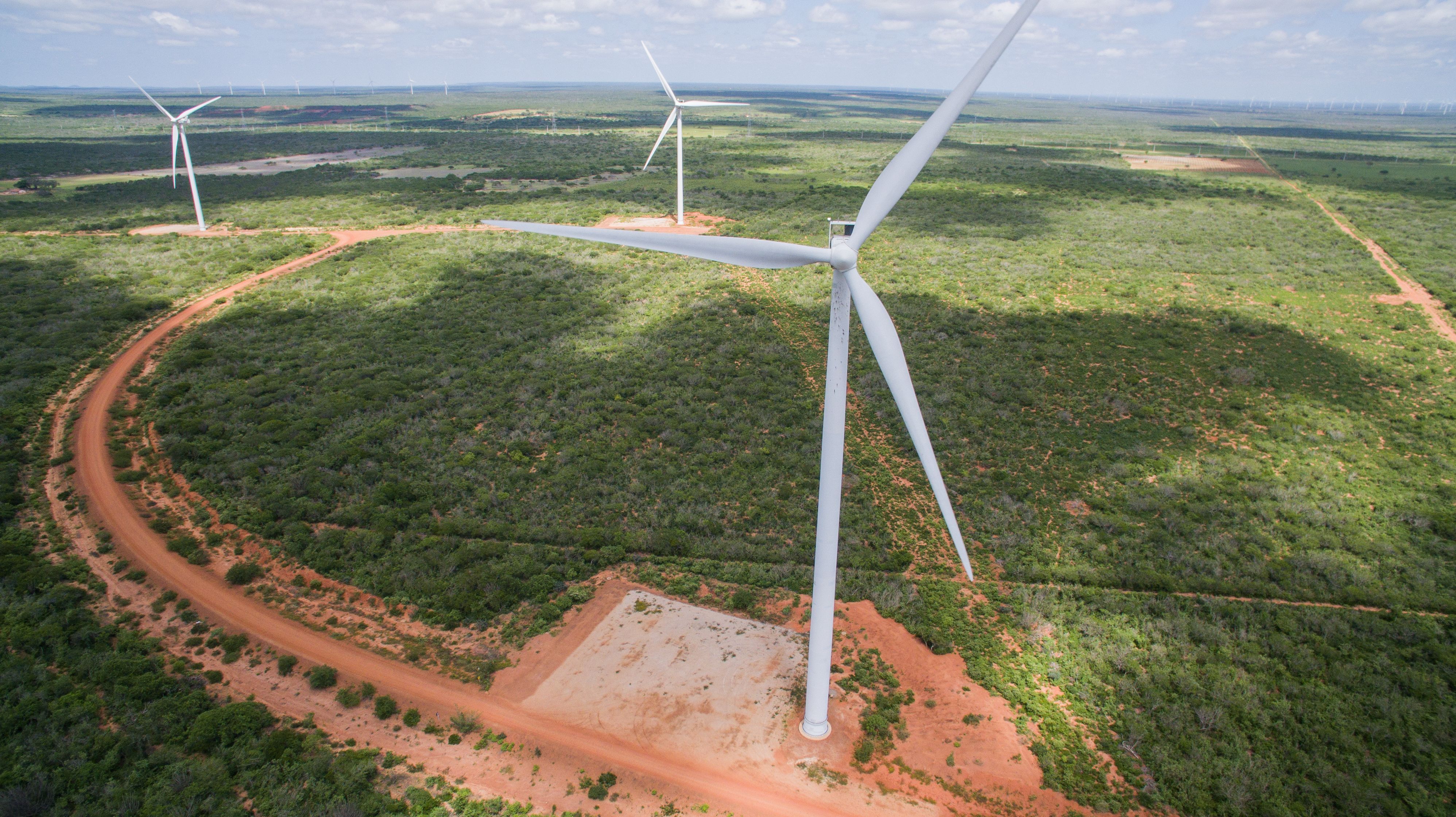 Parque eólico da Echoenergia.jpg