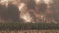 Incêndios florestais avançam e ameaçam Bordeaux, na França