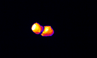 Asteroide Torifune fotografado com o Imageador Térmico Infravermelho (TIR) ​​a bordo • Divulgação/Jaxa