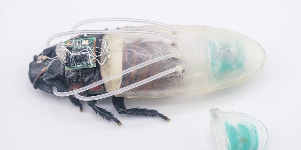3d-printed-suit-for-cyborg-insects-extends-operations-underwaterfac3c966-49a5-4cf9-b57e-b9f9b13666d1
