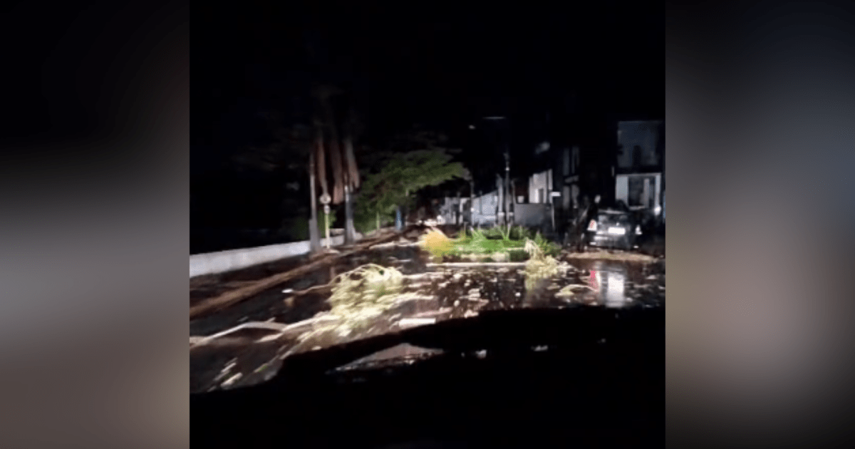 Temporal derruba 54 torres e mais de 250 postes no interior de SP