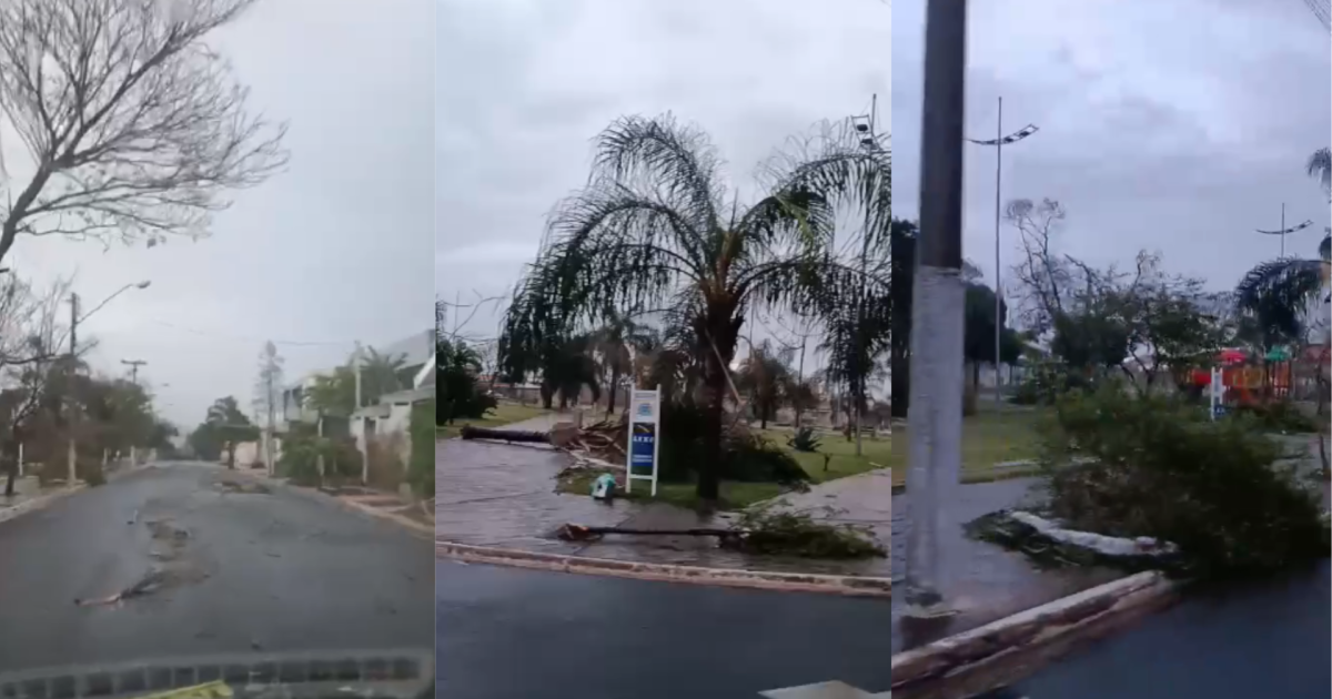 Bombeiros registram mais de 440 ocorrências após temporal em Ribeirão Preto
