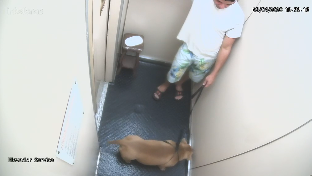 Cachorro fica com a cabeça entalada em muro ao tentar alcançar pudim na rua