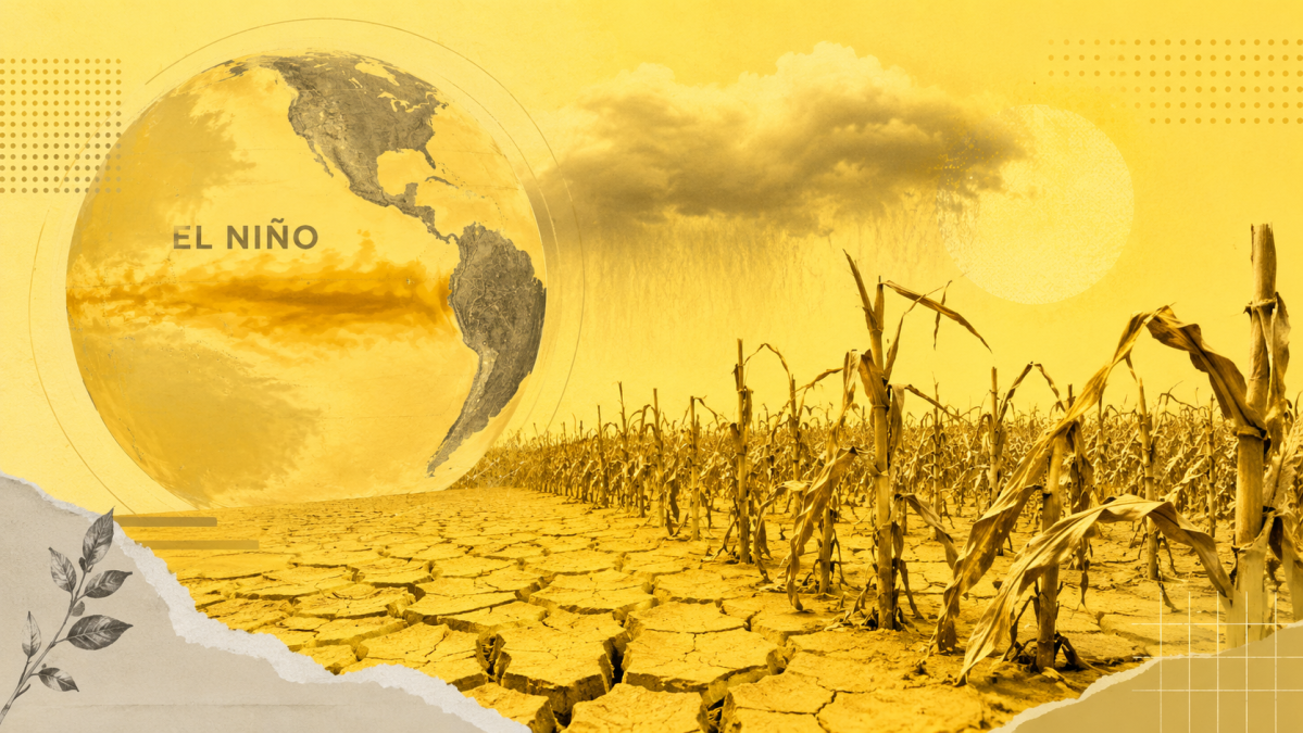 Produção interna de fertilizantes seria melhor ao Brasil, diz especialista