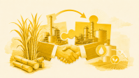 Crise financeira acelera consolidação no agro e abre janela para aquisições