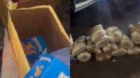 PM encontra 200 kg de drogas em caixa de cereal em ônibus de SP