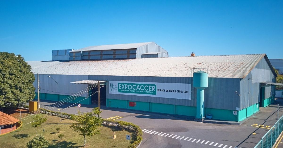 Colheita de café chega a 60% no Cerrado Mineiro, mas maturação é irregular