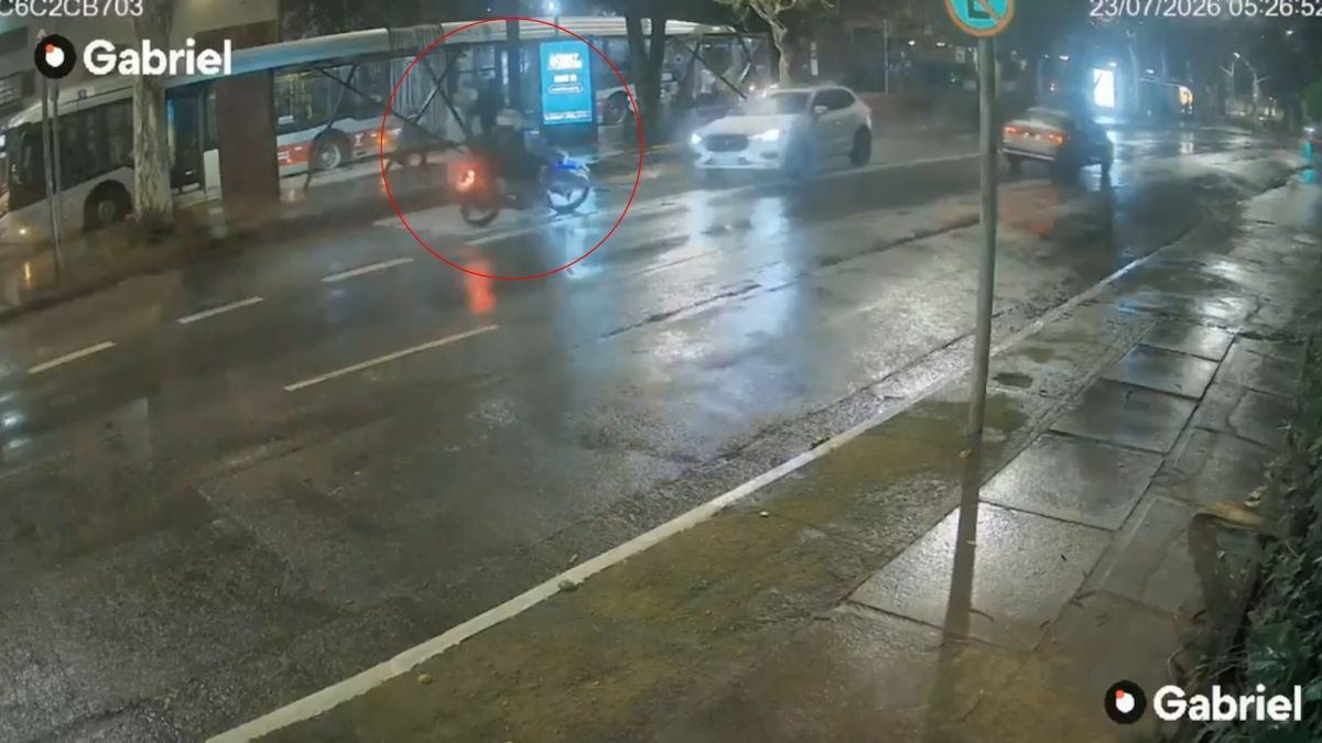 Estudante de medicina é morto por bombeiro após briga de trânsito em SP