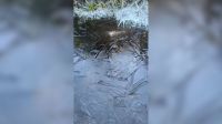 Rio de Janeiro bate recorde de frio pelo segundo dia seguido