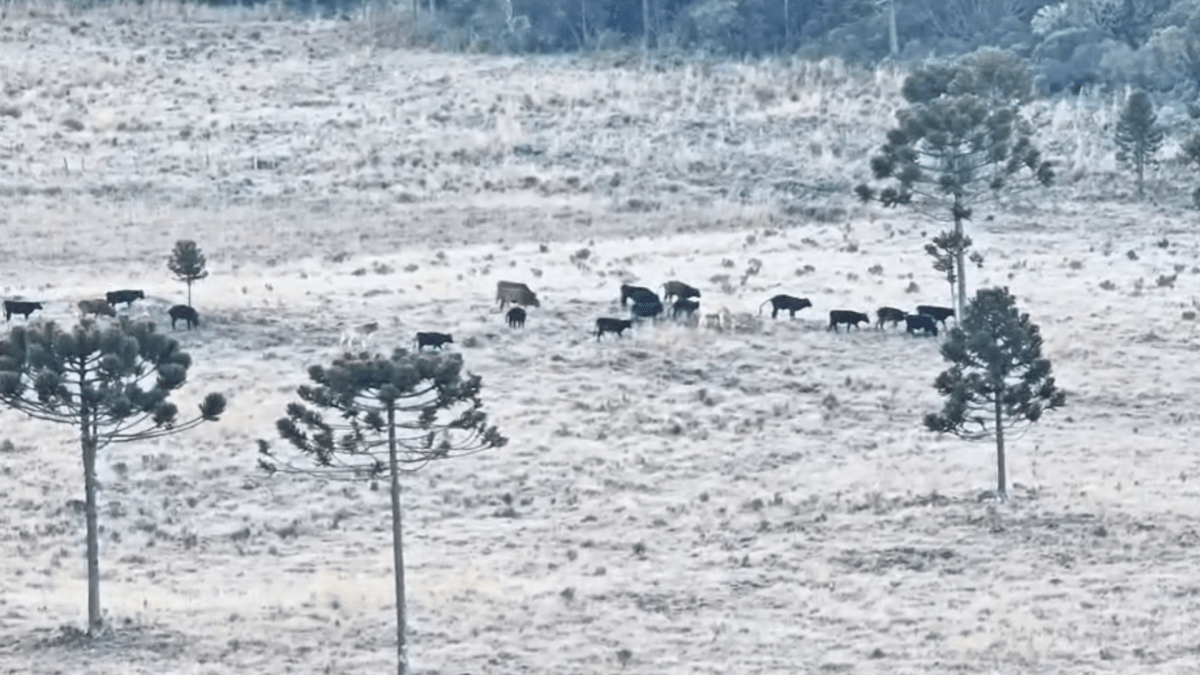Frio intenso perde força, mas tempestades ameaçam o Sul do Brasil