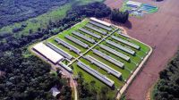 BNDES aprova R$ 72,5 milhões para projeto de suinocultura em Santa Catarina