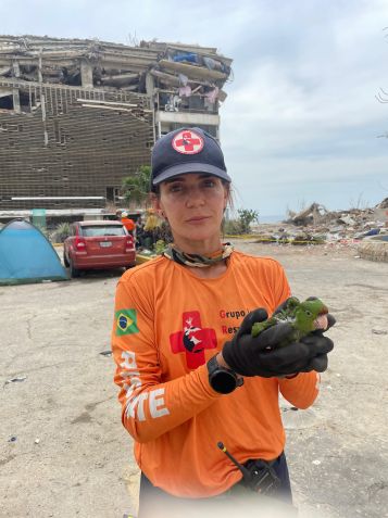Integrantes da Grad Brasil ajudam no resgate de animais após os terremotos mortais que atingiram a Venezuela • Cortesia Carla Sassi/Grad Brasil