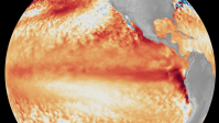 Chance de El Niño "muito forte" este ano é de 81%, diz agência americana