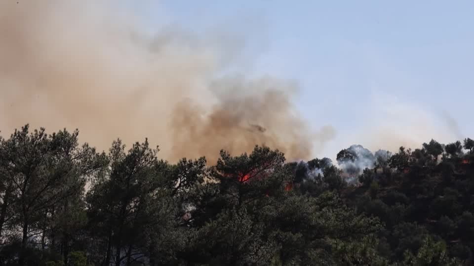 Incêndios na Europa se espalham por França, Espanha, Grécia e Inglaterra