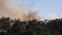 Imagem vinculada ao feed original: Incêndios na Europa se espalham por França, Espanha, Grécia e Inglaterra