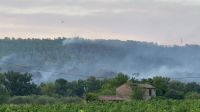 Incêndio florestal na costa da França força moradores a deixarem casas