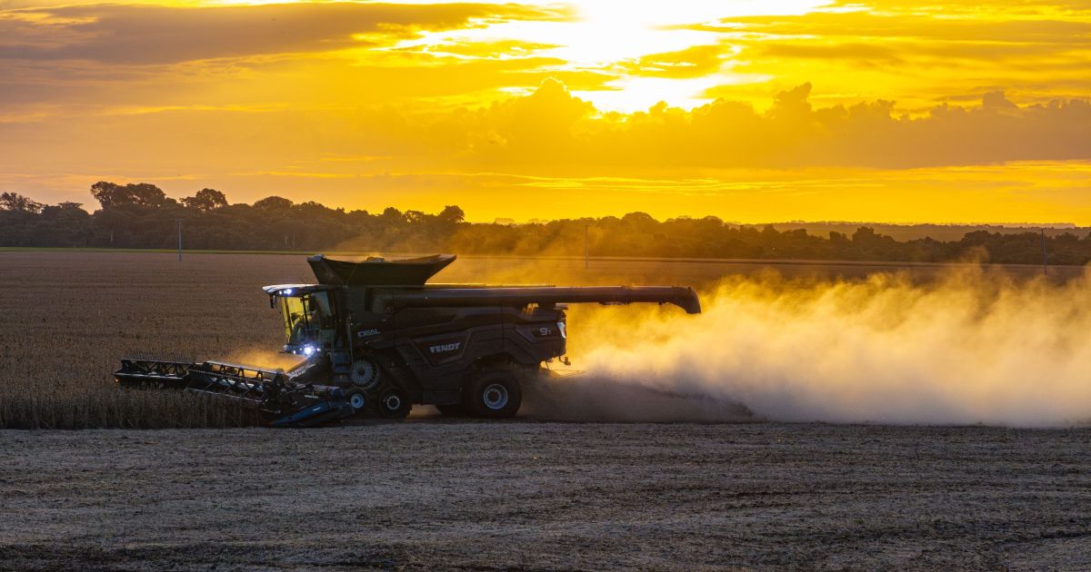 Los agricultores estadounidenses podrían acumular pérdidas de hasta 63 mil millones de dólares en 2027 Los agricultores estadounidenses podrían acumular pérdidas de hasta 63 mil millones de dólares en 2027