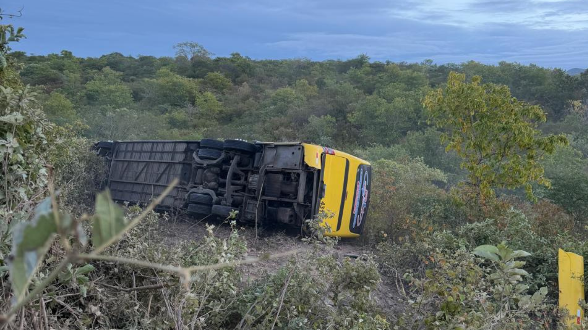 ÔNIBUS ROMEIROS CEARÁ (1)