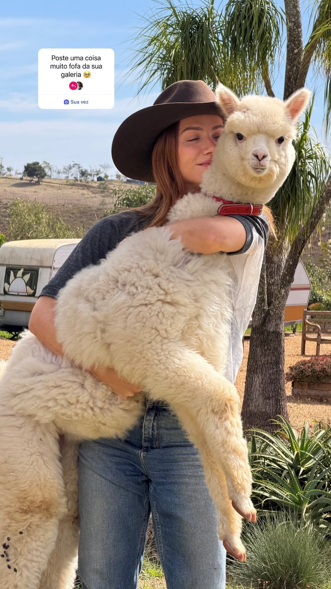 Giovanna Ewbank a alpaca do filho Zyan • Reprodução/Instagram