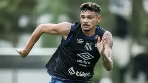 Tiquinho Soares deixará o Santos