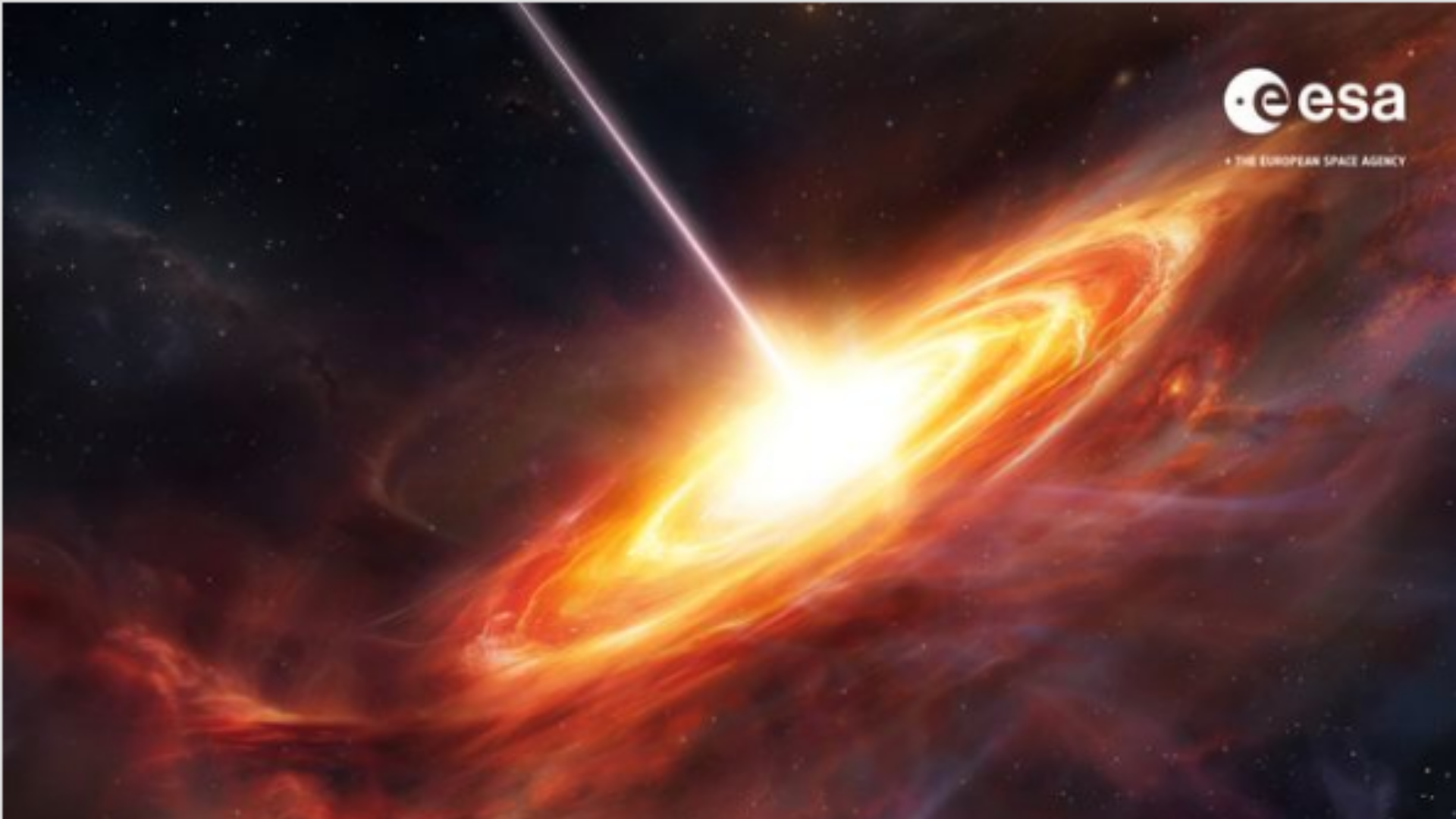 UNIVERSO PRIMITIVO