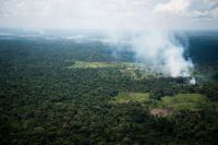 El Niño pode agravar seca e mobiliza força-tarefa na Amazônia