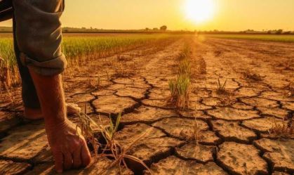 El Niño vai afetar lavouras de soja