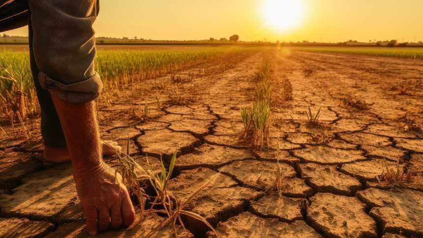 NOAA eleva chance de El Niño muito forte e alerta agro