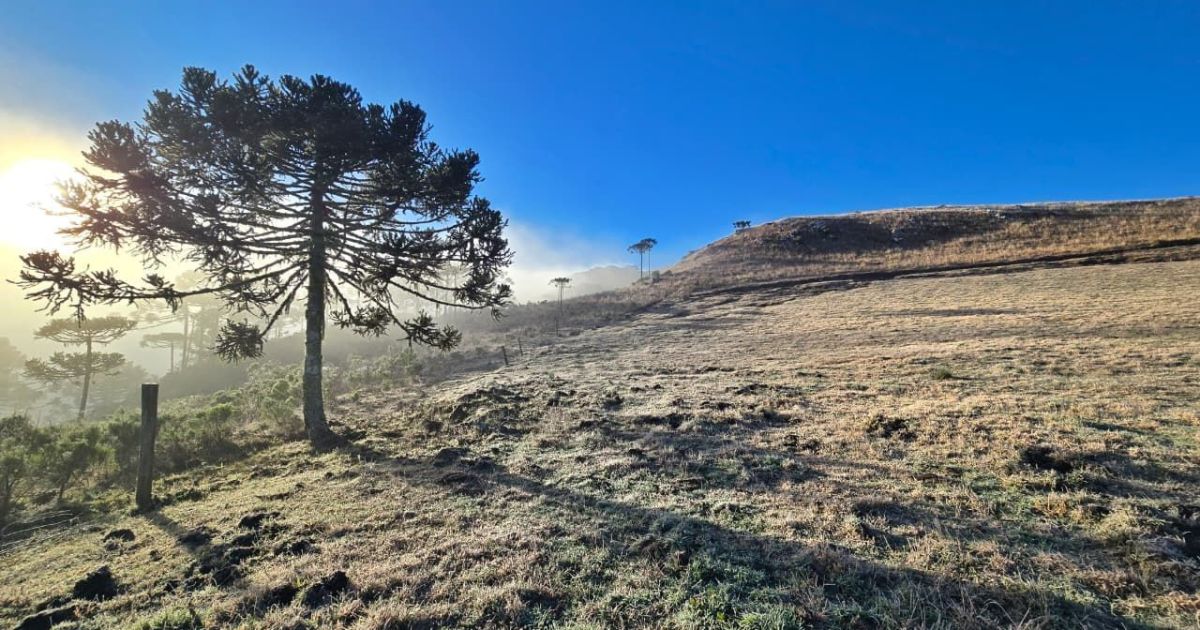 “Caçador de geada” embarca em aventura por paisagens congelantes em SC