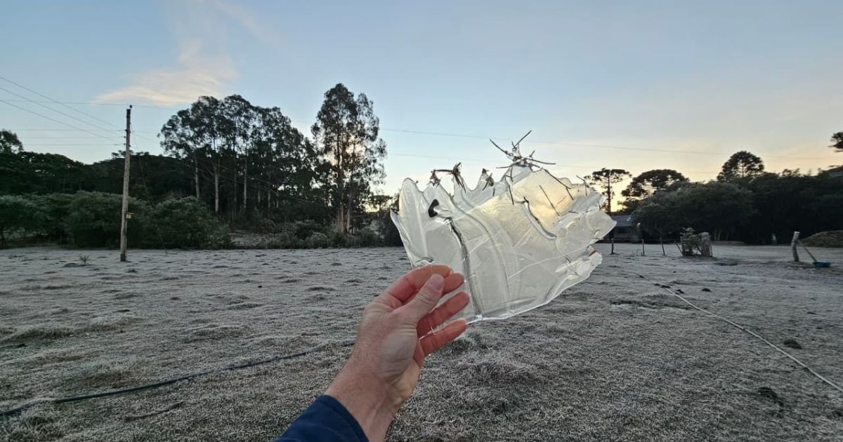 Geada forte congela paisagens em diversas cidades de SC; veja imagens