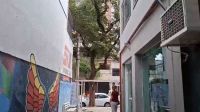 Defesa Civil mantém alerta para rajadas de vento no Rio nesta quinta (30)