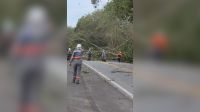 Apagão deixa mais de meio milhão de clientes sem energia no Rio de Janeiro