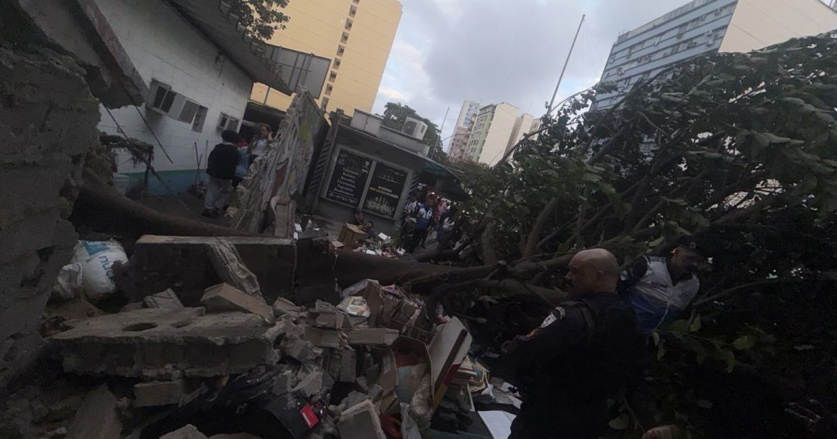 Análise: Clima extremo expõe sistema elétrico frágil