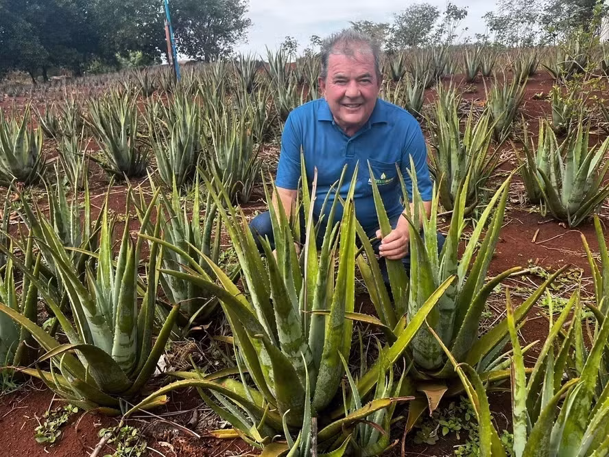Do Xampu Para A Soja Rei Da Babosa Amplia Negocio Com Biofertilizante