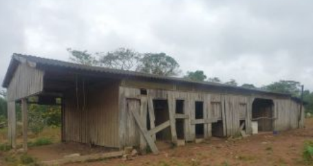 escravidão idoso