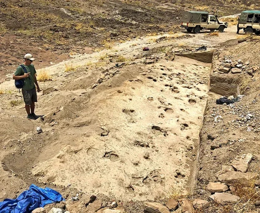 A superfície escavada das pegadas exibe uma mistura de pegadas mais profundas de hipopótamos e antílopes e pegadas mais superficiais de hominídeos • Kay Behrensmeyer/Smithsonian