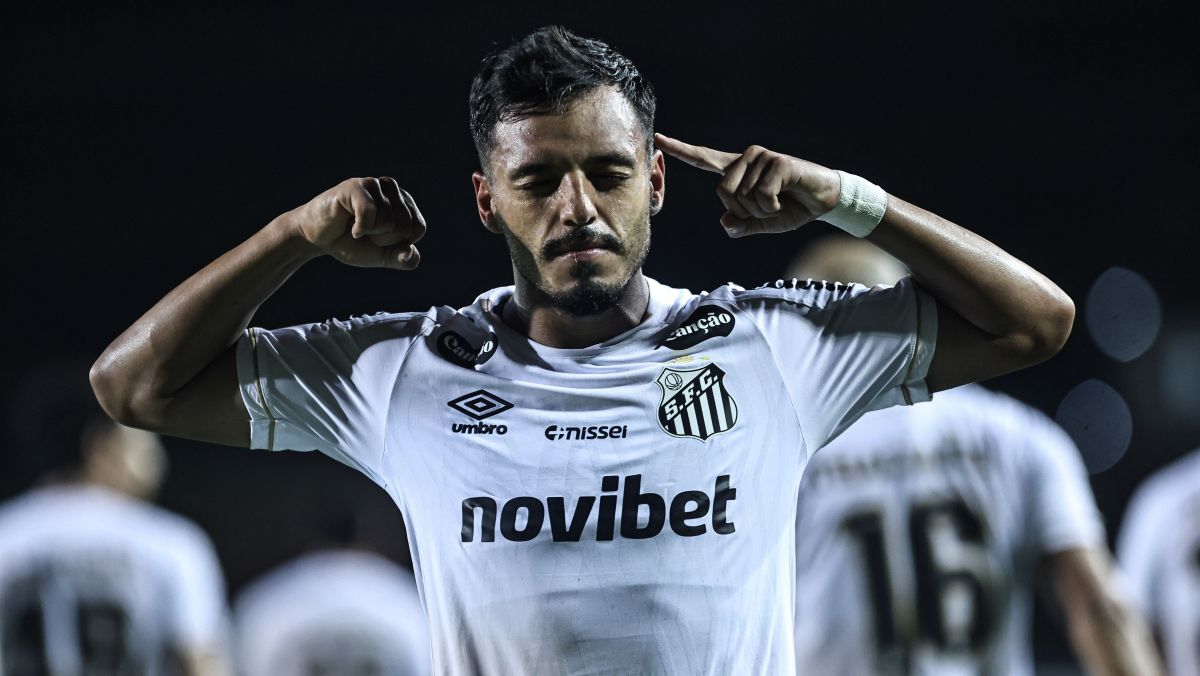 Santos x Chapecoense: horário e onde assistir o Brasileirão Série A