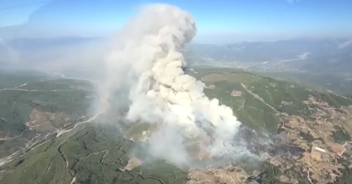 Bombeiros trabalham para conter incêndio florestal na Turquia