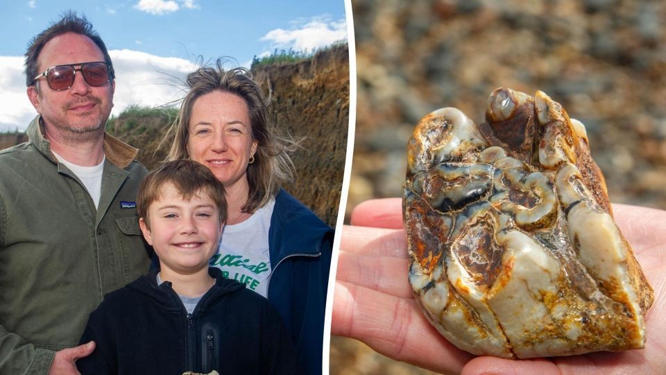 menino-encontra-dente-de-elefante-em-praia-na-inglaterra