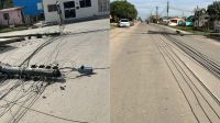 Vendaval causa estragos no RS; Bagé tem queda de árvores e energia