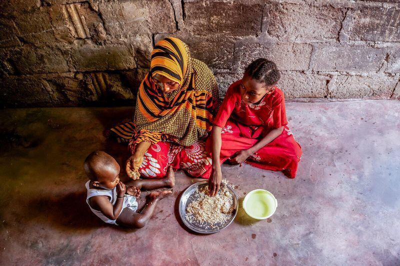 Fome global diminui pelo terceiro ano consecutivo, aponta relatório da ONU