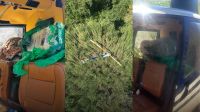 PF prende italiano com 52 frascos de “droga do amor” no Aeroporto do Galeão