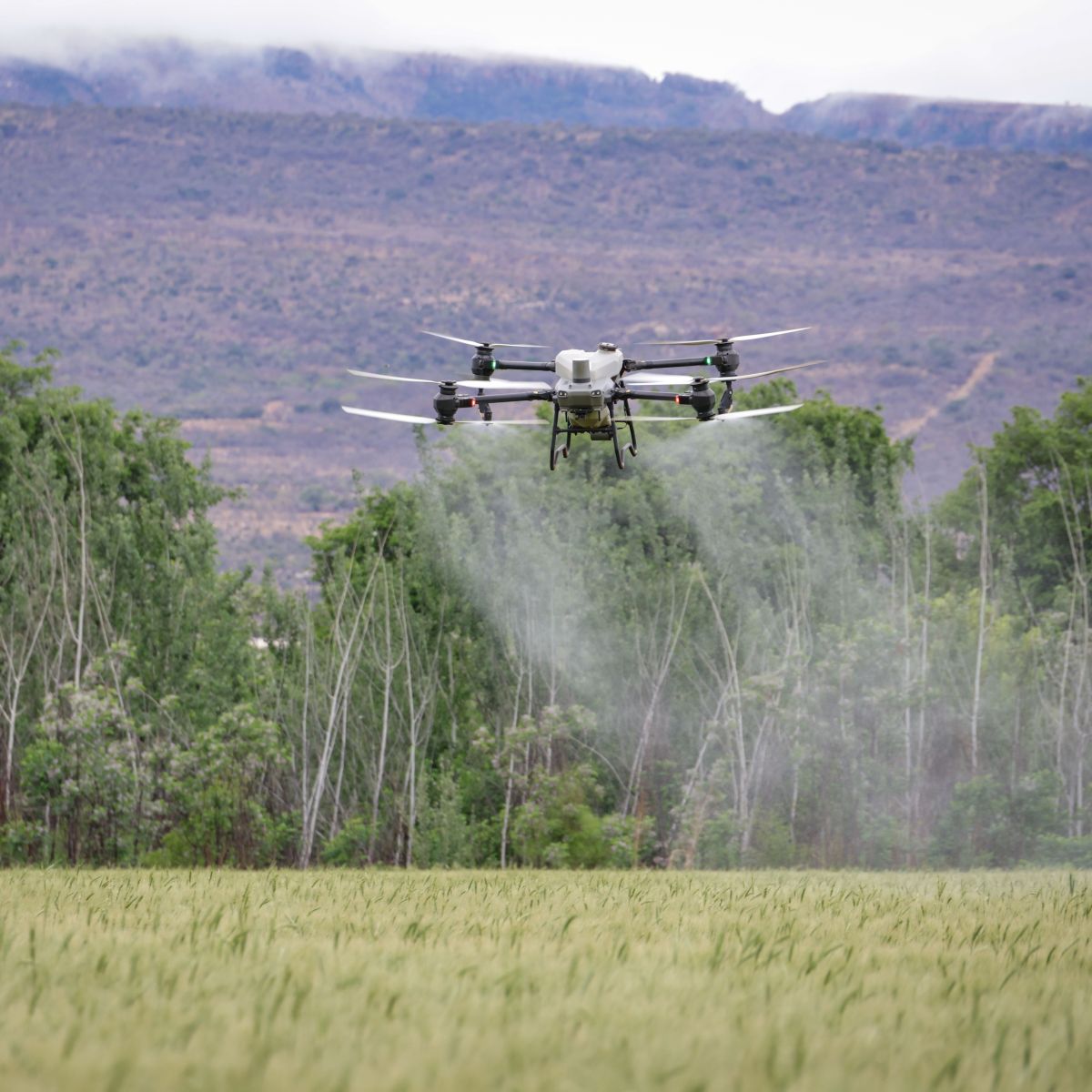 Entidades defendem uso de drones de pulverização em Brasília