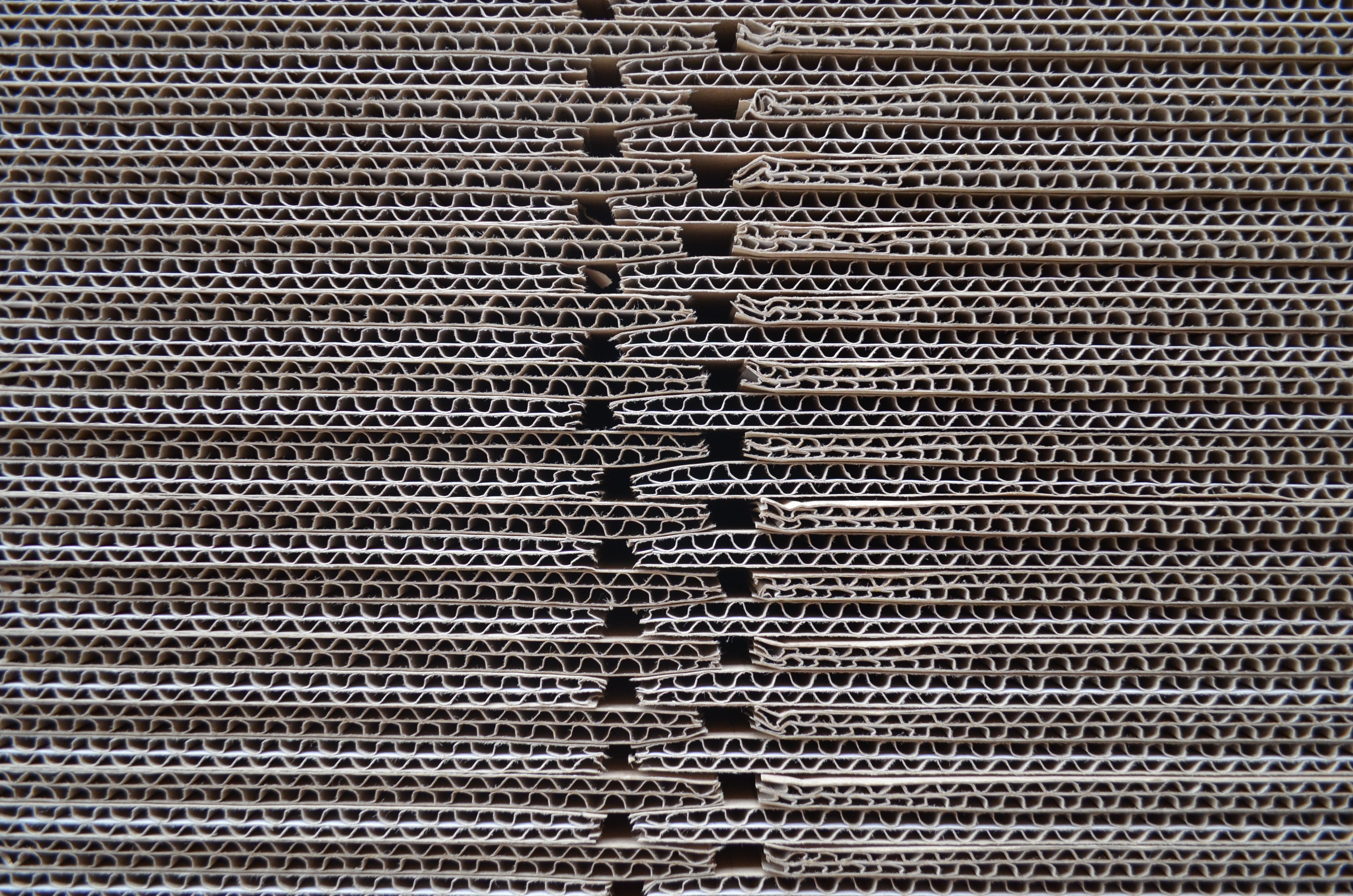 pexels-simon-potts-1793151102-28316095