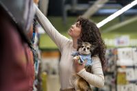 Inverno exige atenção redobrada e check-ups preventivos para cães e gatos